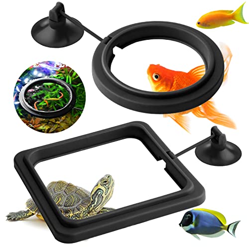 cobee anello cibo pesce, 2 pezzi pesce cibo dispenser acquario pesce tartaruga serbatoio accessori...