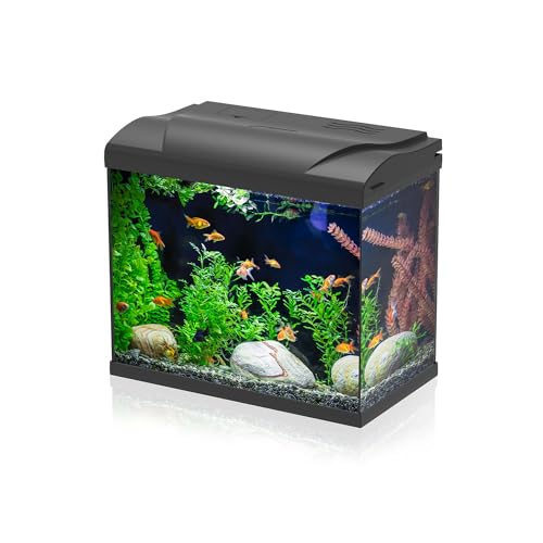 AQPET Acquario in Vetro per Pesci Tropicali Completo di Accessori Filtro Luce Simply, 30 39x22x30 cm...