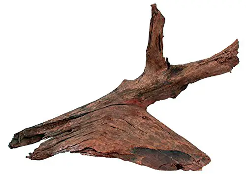 Zolux Mangrove radice per Acquario – 25 x 40 cm