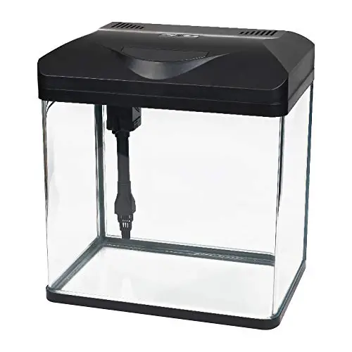 AMTRA LAGUNA LED 40 - Vasca Acquario 30 litri in vetro con coperchio, illuminazione a led e filtro...
