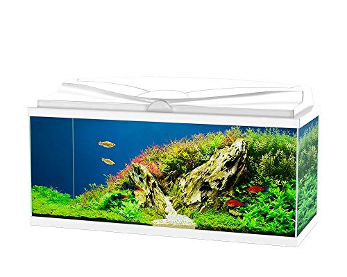 Ciano Aquarium Acquario Aqua 80 Bianco Completo 71lt 80x30xh41,5cm
