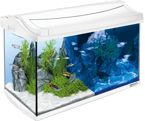 Tetra AquaArt Discovery Line Acquario, capacità di 60 L, Illuminazione a LED, Bianco