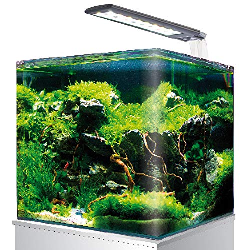 AMTRA NANOTANK SYSTEM 30 / Acquario in vetro completo di luce LED e filtro / cm 30x30x35 / 30 Litri